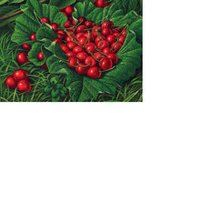 Схема вышивки «Вишенки»