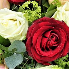 Схема вышивки «Розы»