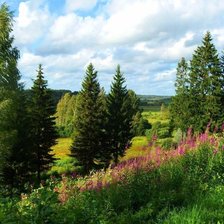 Схема вышивки «летние склоны»