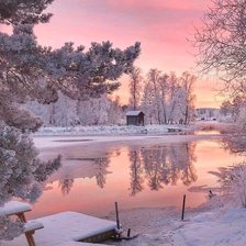 розовый рассвет