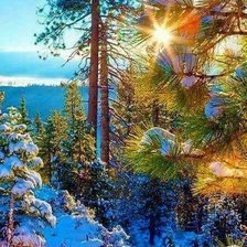 Схема вышивки «зимний пейзаж»