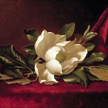 Схема вышивки «магнолия»