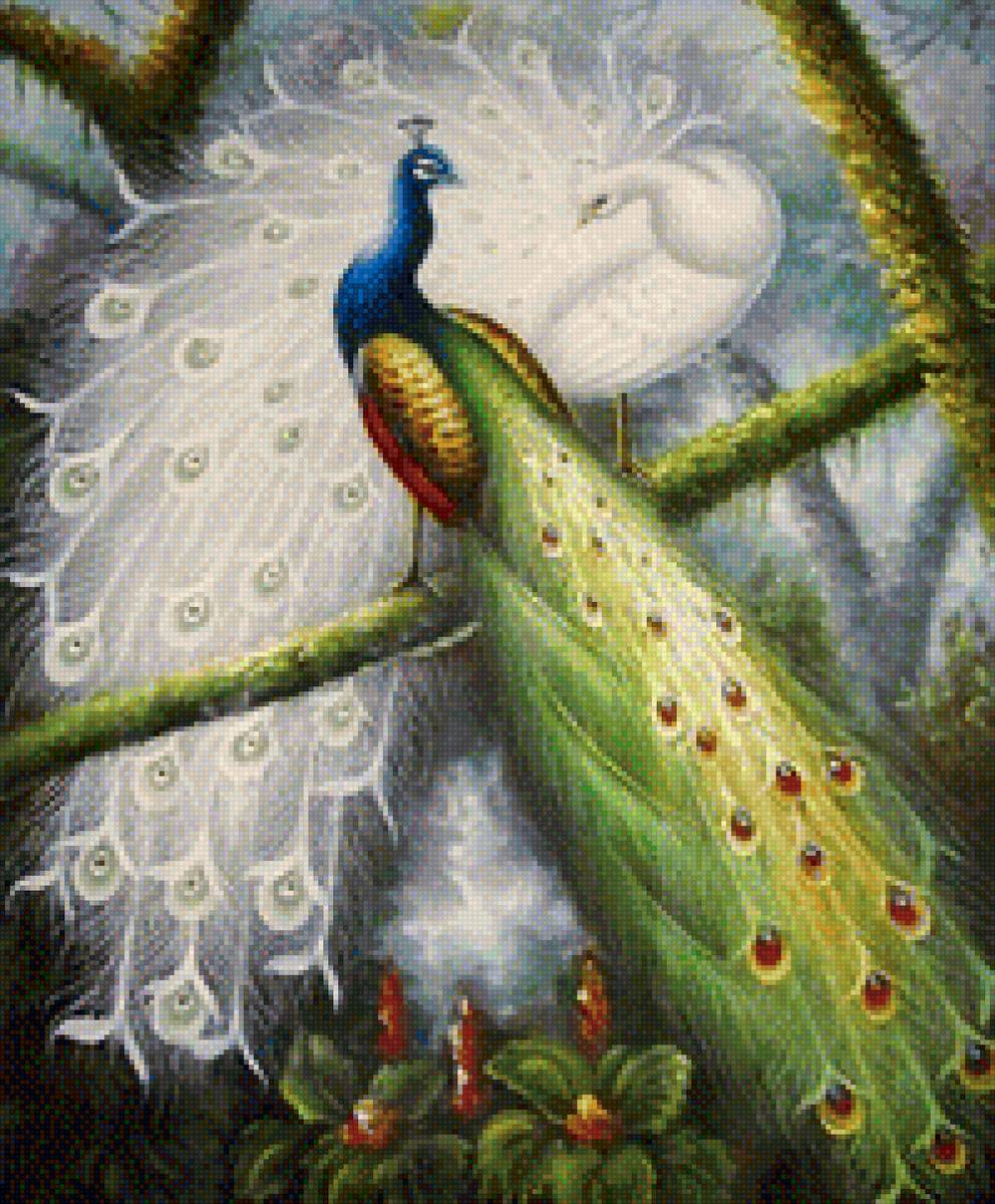 пара павлинов - птицы, любовь - предпросмотр