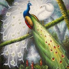 Схема вышивки «пара павлинов»