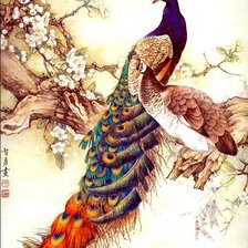 Схема вышивки «пара павлинов»