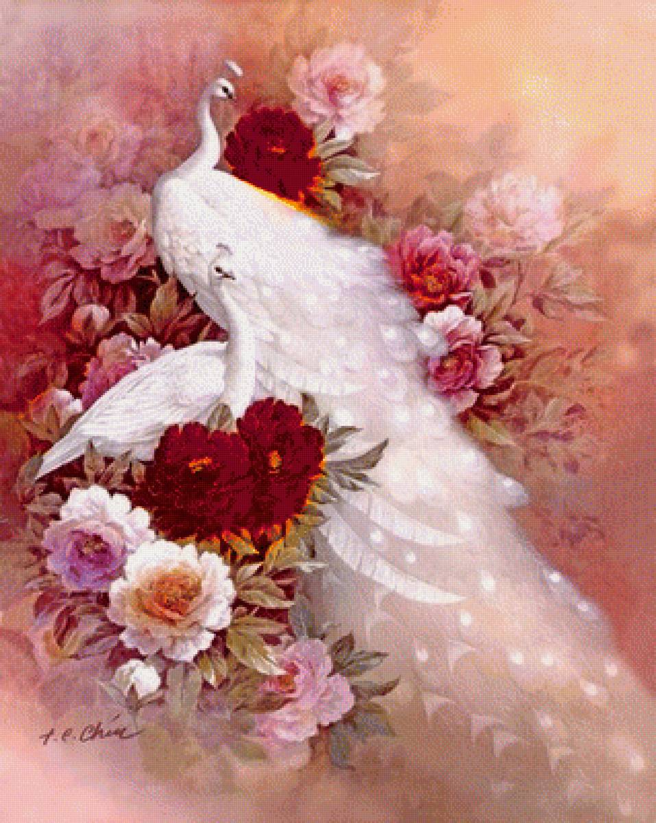 пара белых павлинов - птицы, любовь - предпросмотр