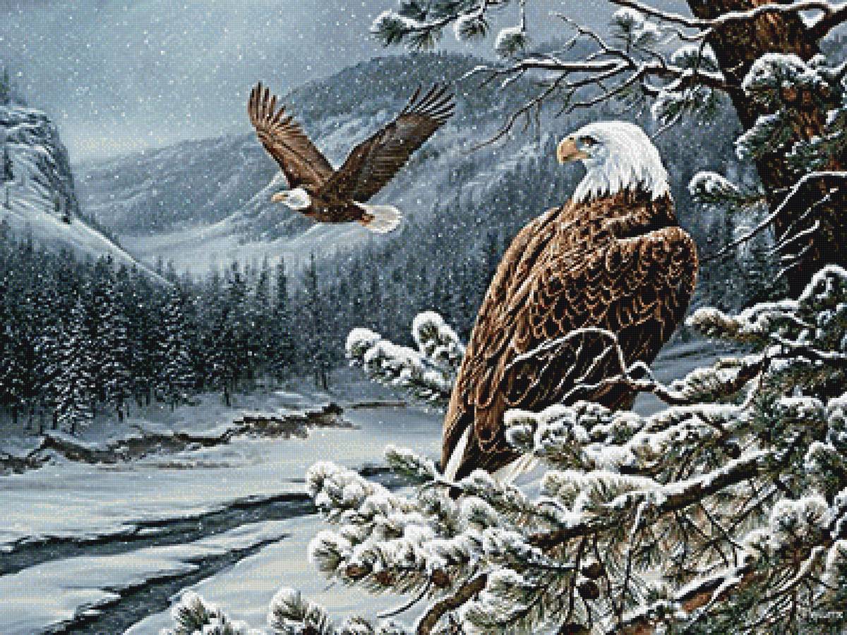 зимняя картина - природа, зима, пейзаж - предпросмотр