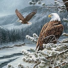 зимняя картина