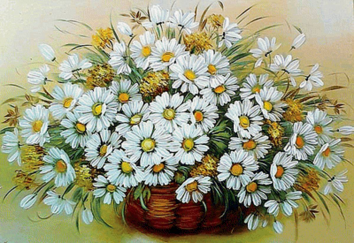 ромашки - природа, цветы - предпросмотр