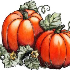 Схема вышивки «Тыквы»