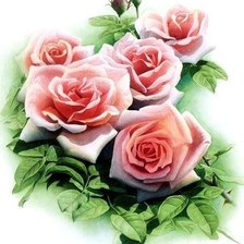 Схема вышивки «розы»