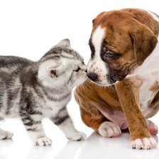 Схема вышивки «парочка»