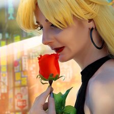 Схема вышивки «Minako Aino»