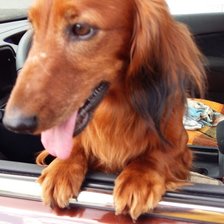 Схема вышивки «Моя Клепа 2»