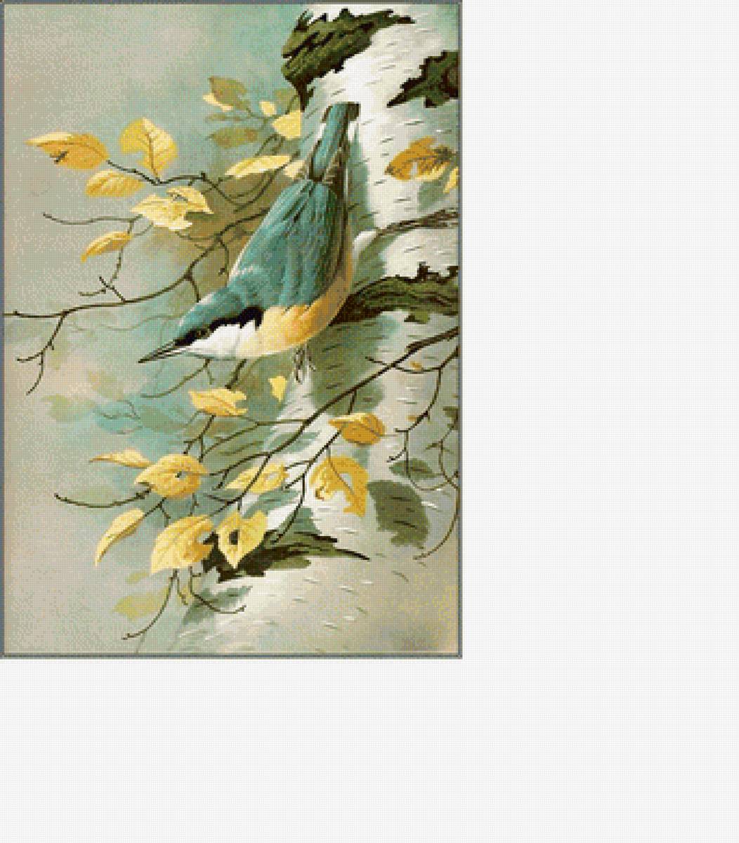 Серия "Птицы" - птицы, фауна - предпросмотр