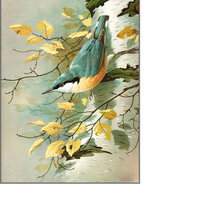 Схема вышивки «Серия "Птицы"»