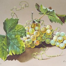 Схема вышивки «№1710999»