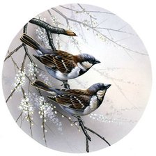 Схема вышивки «№1711043»