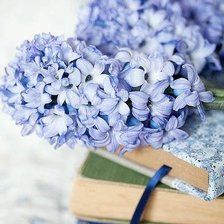 Схема вышивки «Сирень»