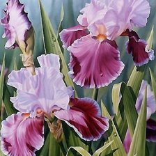 Схема вышивки «№1711255»