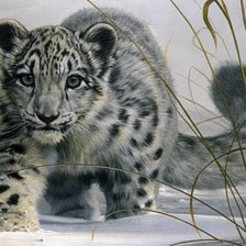 Схема вышивки «Барсик»