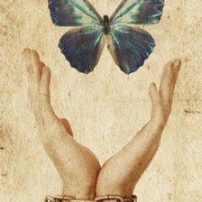 Схема вышивки «Бабочки из рук»