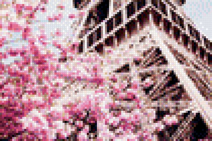 Цветущий Париж - предпросмотр