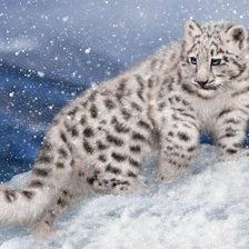 Схема вышивки «Барсик под снегом»