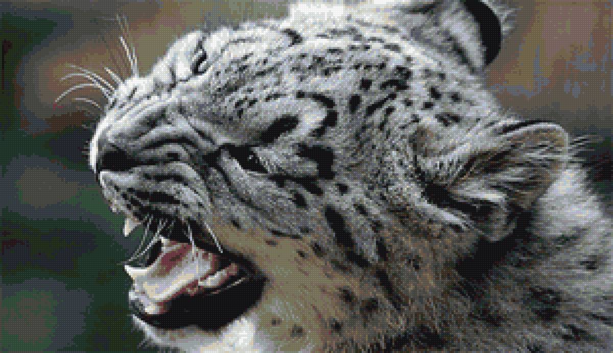 Барсик 4 - барс, ирбис - предпросмотр