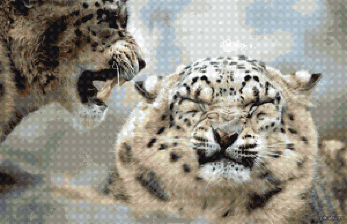 Молчать! - барс, ирбис - предпросмотр