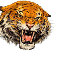 Схема вышивки «№1711723»