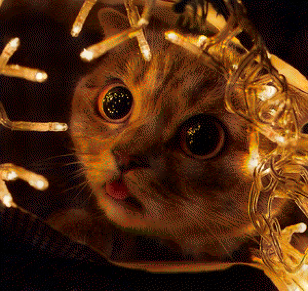 Котик - кот, котик, милый кот - предпросмотр