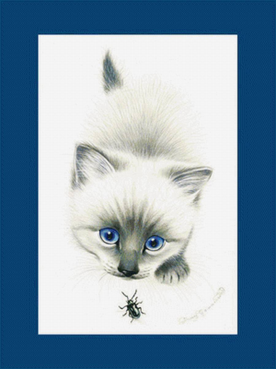 котёнок - предпросмотр