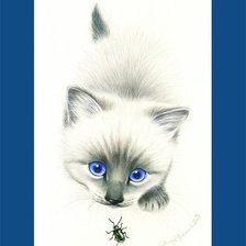 Схема вышивки «котёнок»