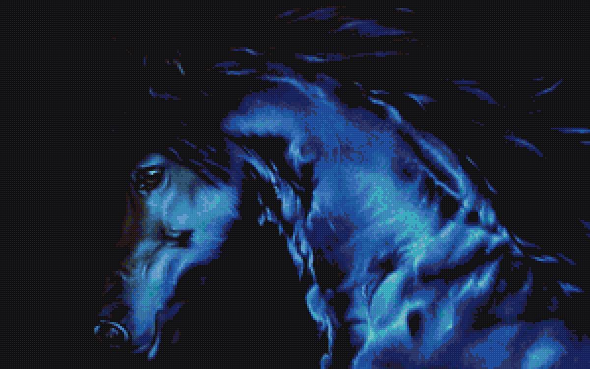 Черная лошадь - черная, лошадь - предпросмотр