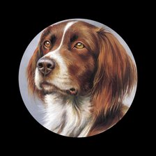 Схема вышивки «Пес»