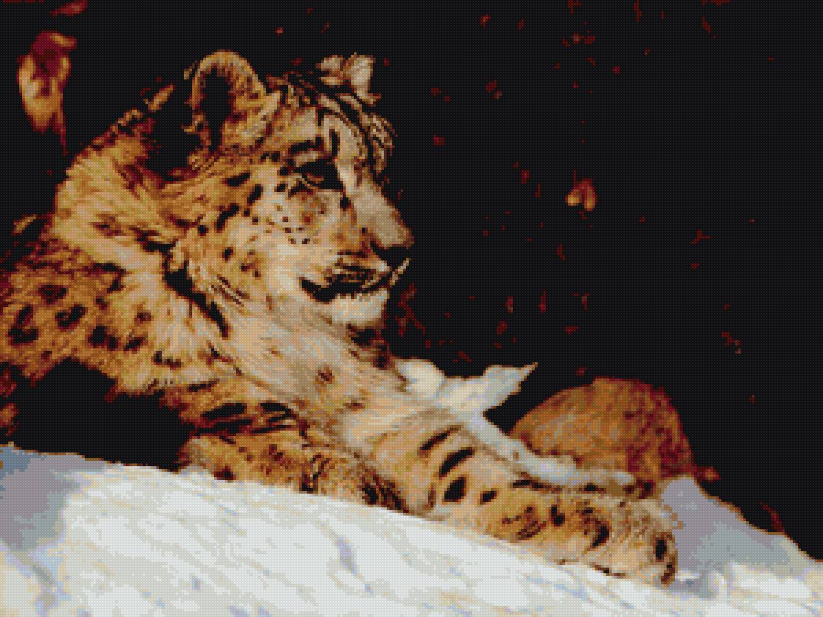 Барс 3 - ирбис, зима, барс - предпросмотр