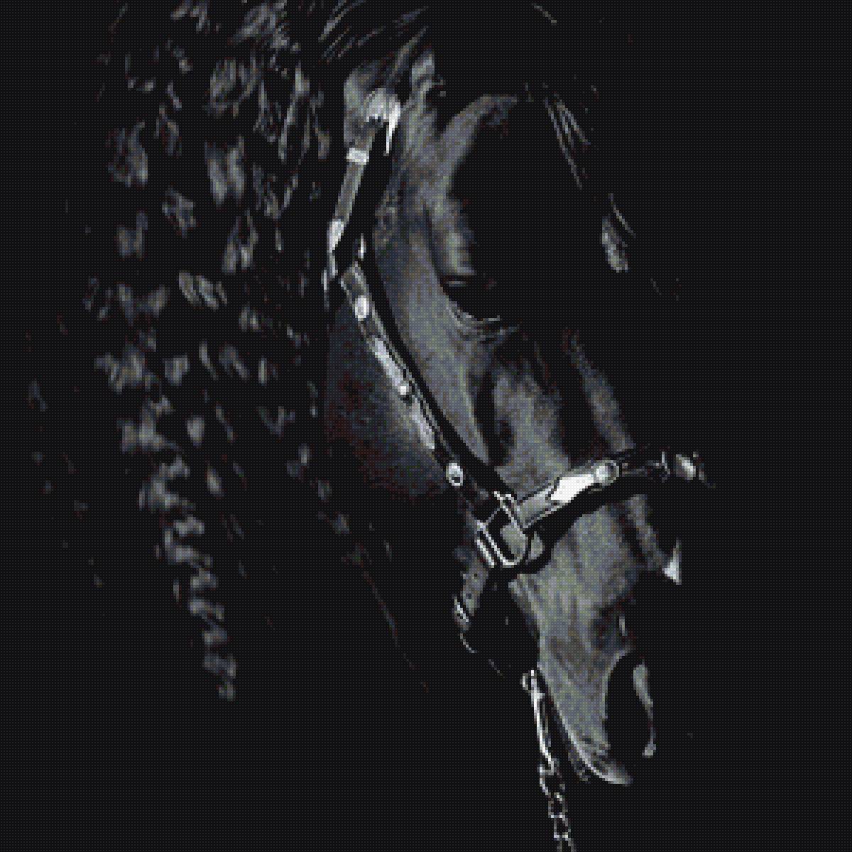 Черная лошадь 2 - черная, лошадь - предпросмотр