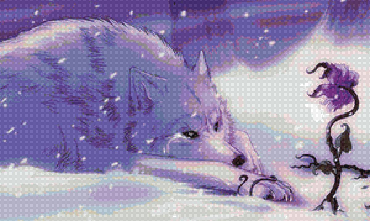 Белый волк - зима, белый, волки - предпросмотр