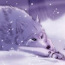 Схема вышивки «Белый волк»