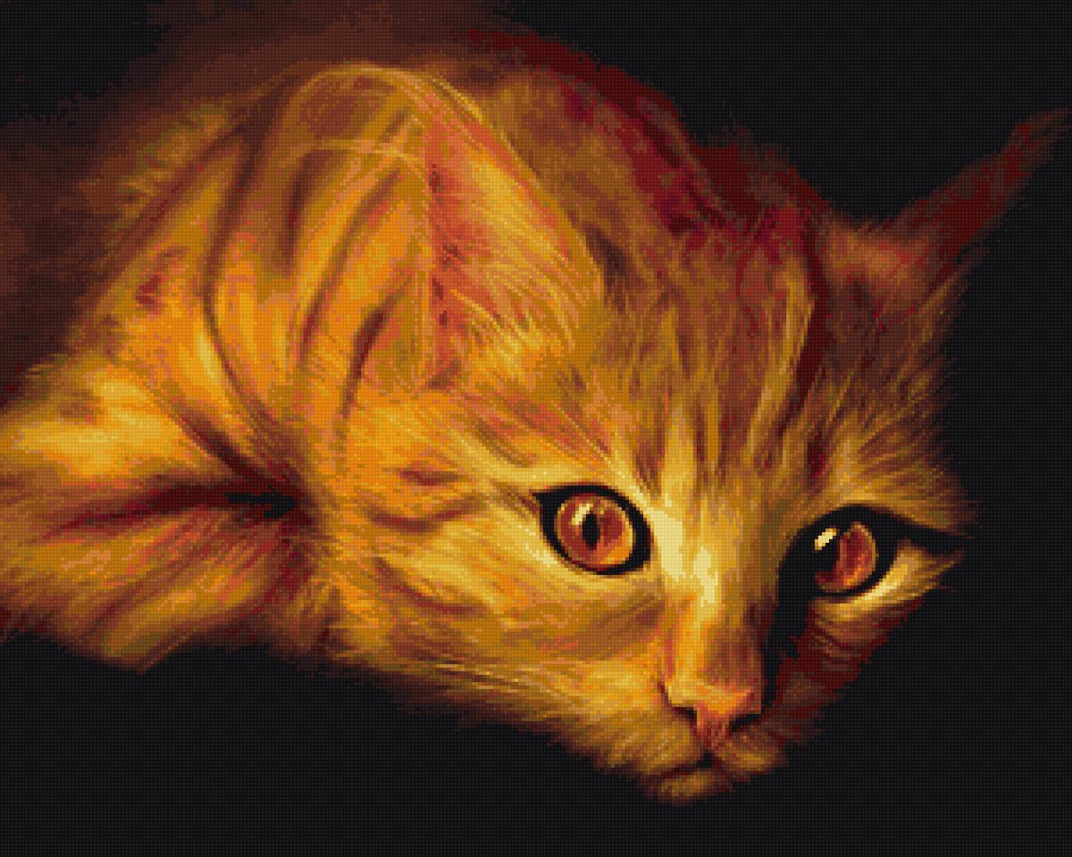 Рыжий кот - рыжий, кот - предпросмотр