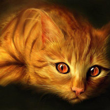 Схема вышивки «Рыжий кот»