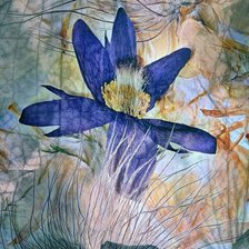 Схема вышивки «Гербарий»