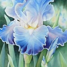 Схема вышивки «№1712966»