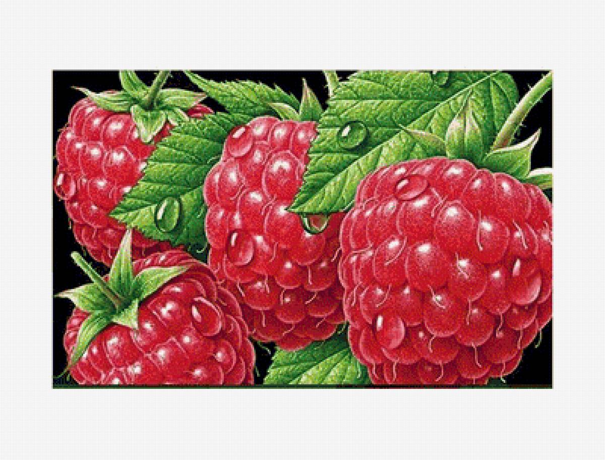 Малина - ягоды - предпросмотр