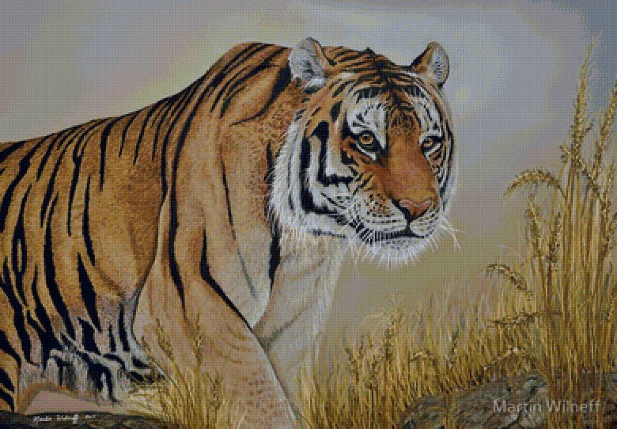 №1713122 - предпросмотр