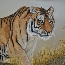 Схема вышивки «№1713122»