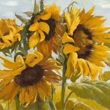 Схема вышивки «лето, урожай , цветы»