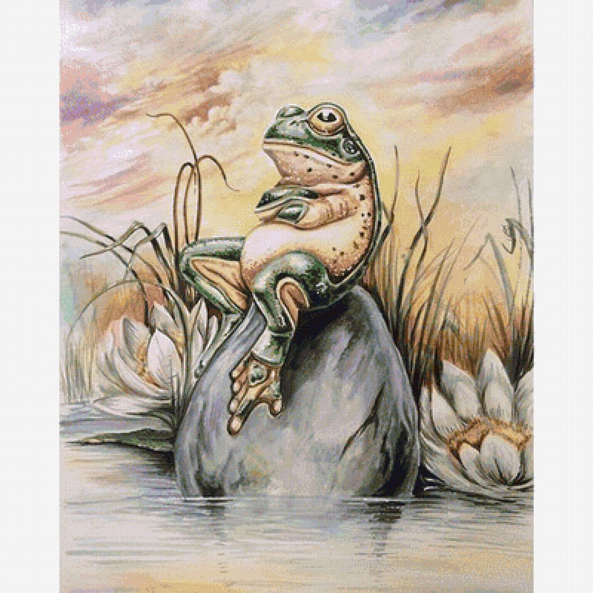 №1713167 - лягушка - предпросмотр