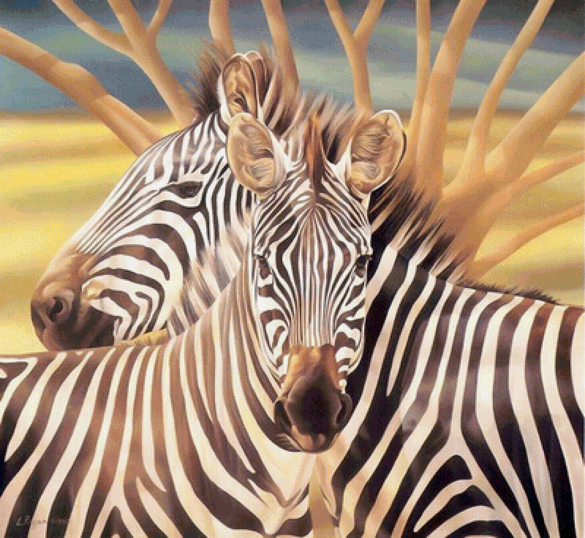 Мир животных - зебра, зебры, лето, африка, животное, пара, арт, саванна - предпросмотр